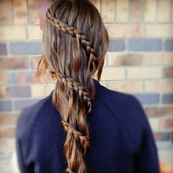 Plait Twist Hair Hairstyles How To