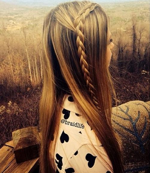 Half Up Dutch Braid Hairstyles How To